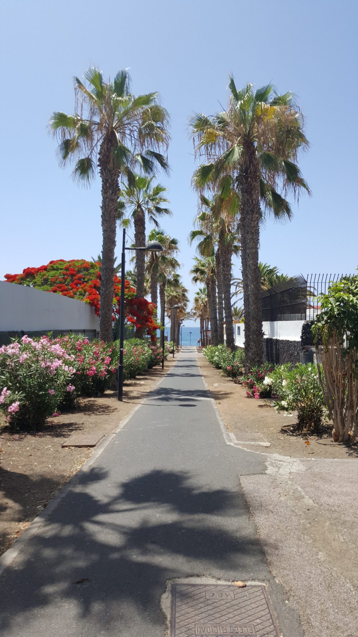 כניסה לחוף בדרום טנריף