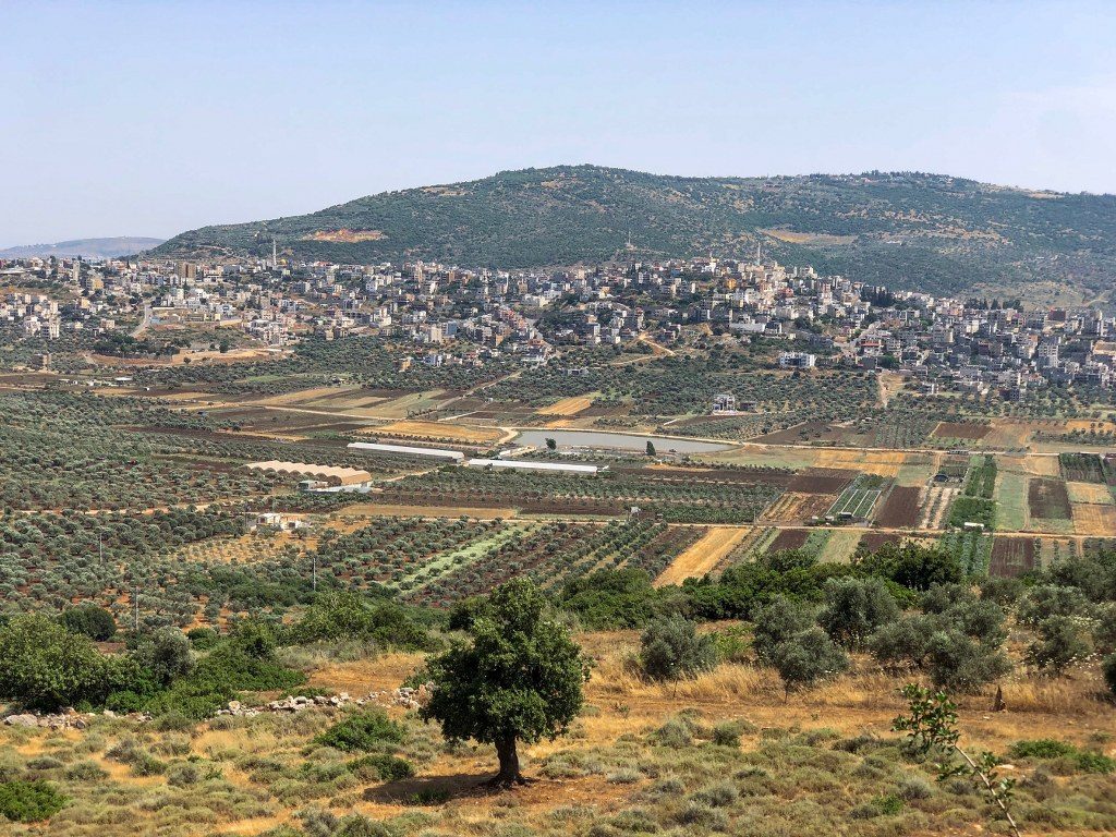 תצפית מהמרפסת של יקב לטם בישוב לוטם