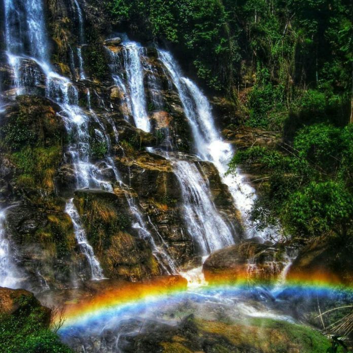 פארק בצ'אנג מאי תאילנד