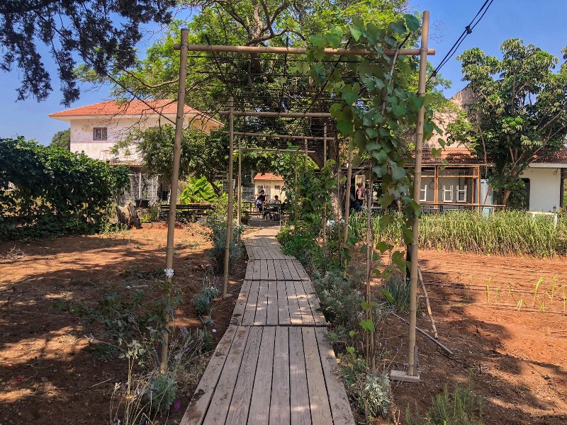 המחתרת התאילנדית בפרדס חנה כרכור