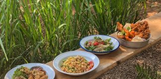 מנות של המחתרת התאילנדית פרדס חנה כרכור