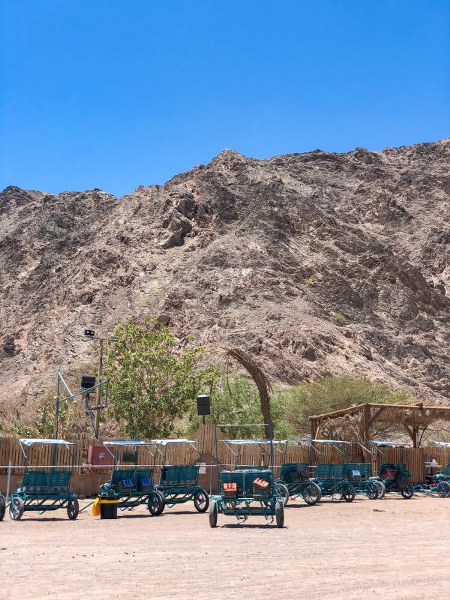 חאן מדברא באילת