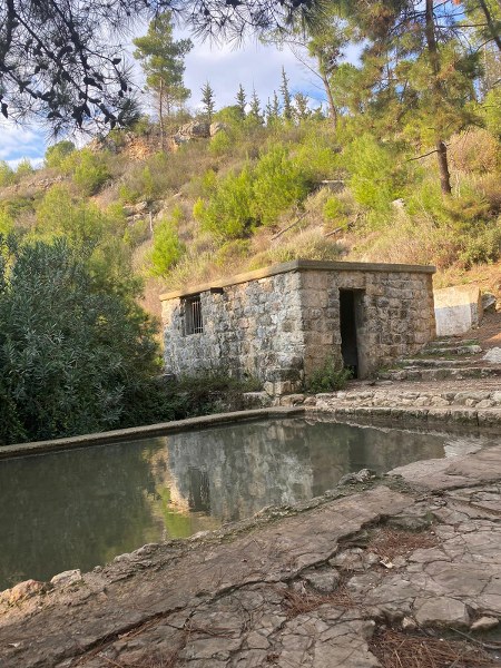 מעיין בנחל אלון