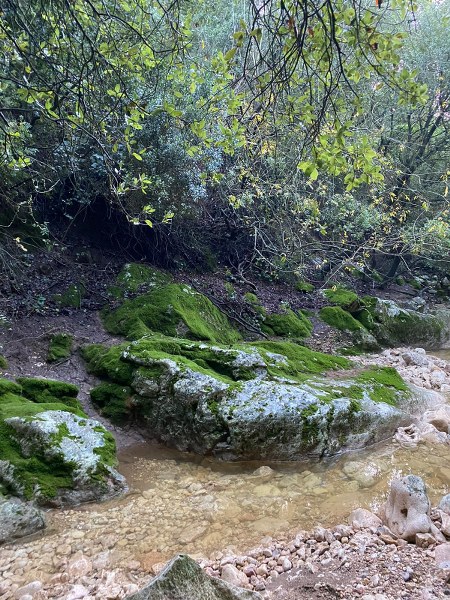 טיול בנחל אלון