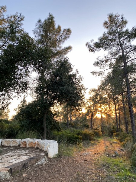 טיול בשביל הבריכה