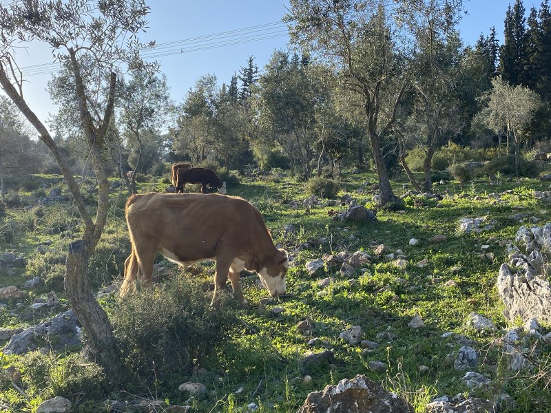 טיול בשביל המערות בחורבת החרמש