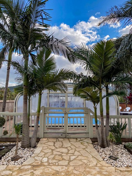 בריכה באחוזת הדקל