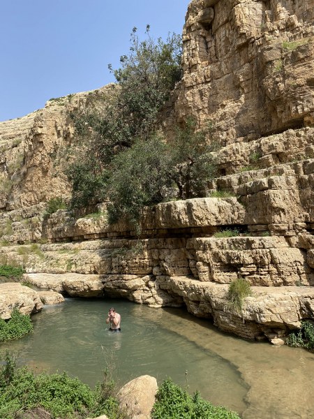 בריכת החרוב שבנחל פרת