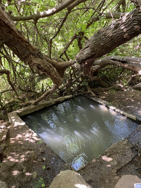 מעיין עין כיף ברמת הגולן