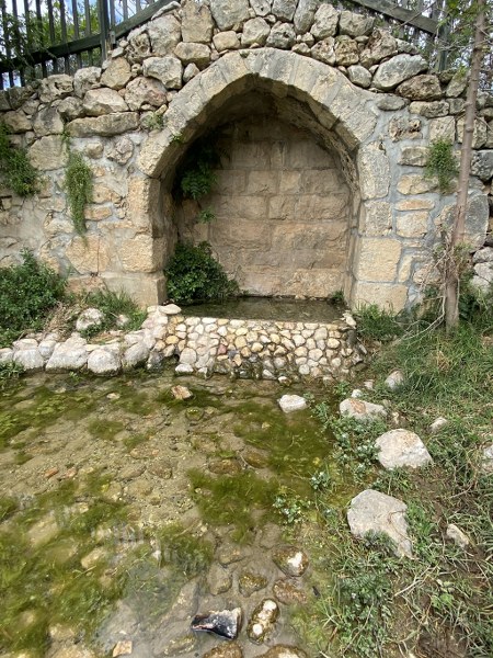 מעיין סודי עין צובה