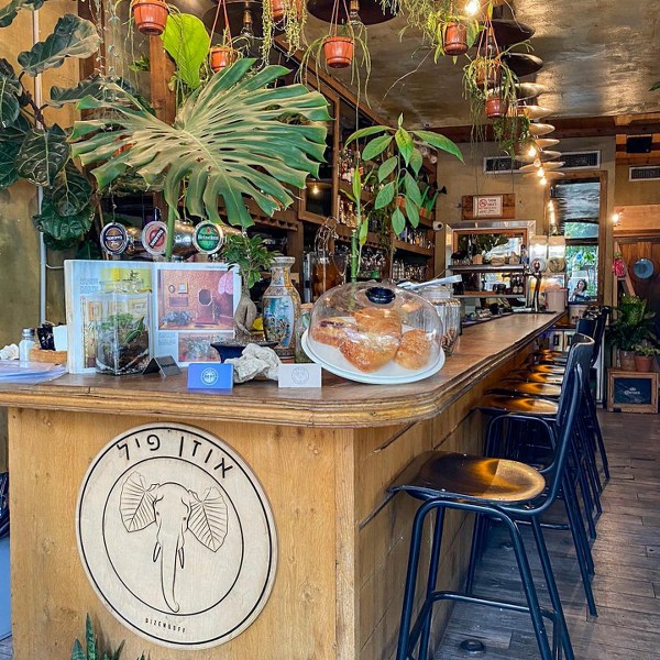 בר חדש בתל אביב אוזן פיל