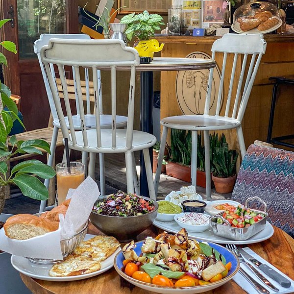 בר משתלה אוזן פיל