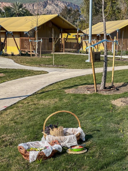 סל פיקניק בצפון