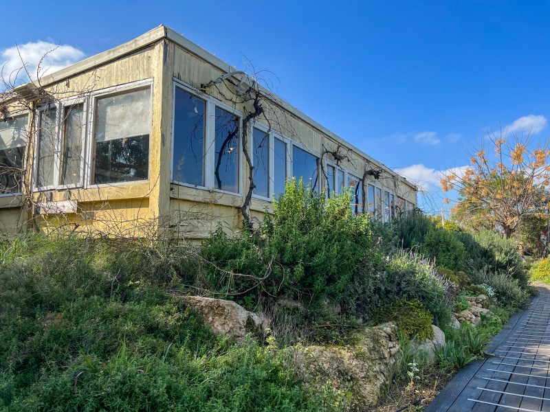 עיזה פזיזה משק צבן