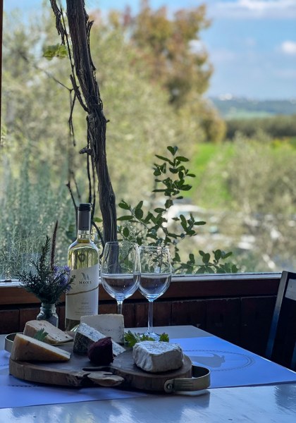 ארוחת גבינות בעיזה פזיזה