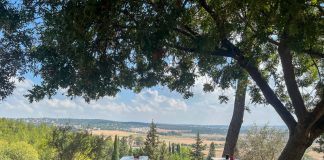 קפה על הקצה בקריית טבעון